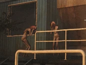 A pair of Witches wandering around the Sugar Mill.