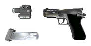 P220 Pistol in a deconstructed view.