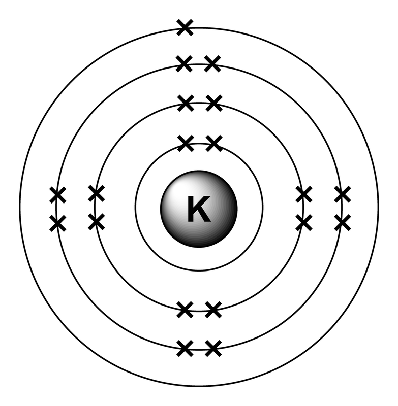 bohr diagram for potassium