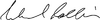 Michael Collins signature