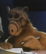 Alf