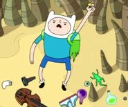 Finn the Human