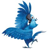blu (rio) (ambidextrous)