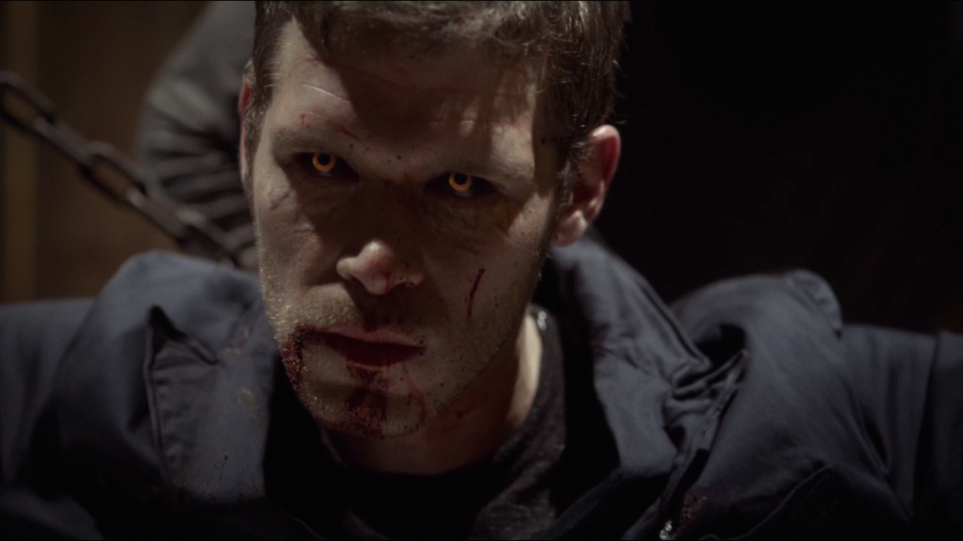 Niklaus Mikaelson | Wiki Legaciesbr | Fandom, image size:1366x768