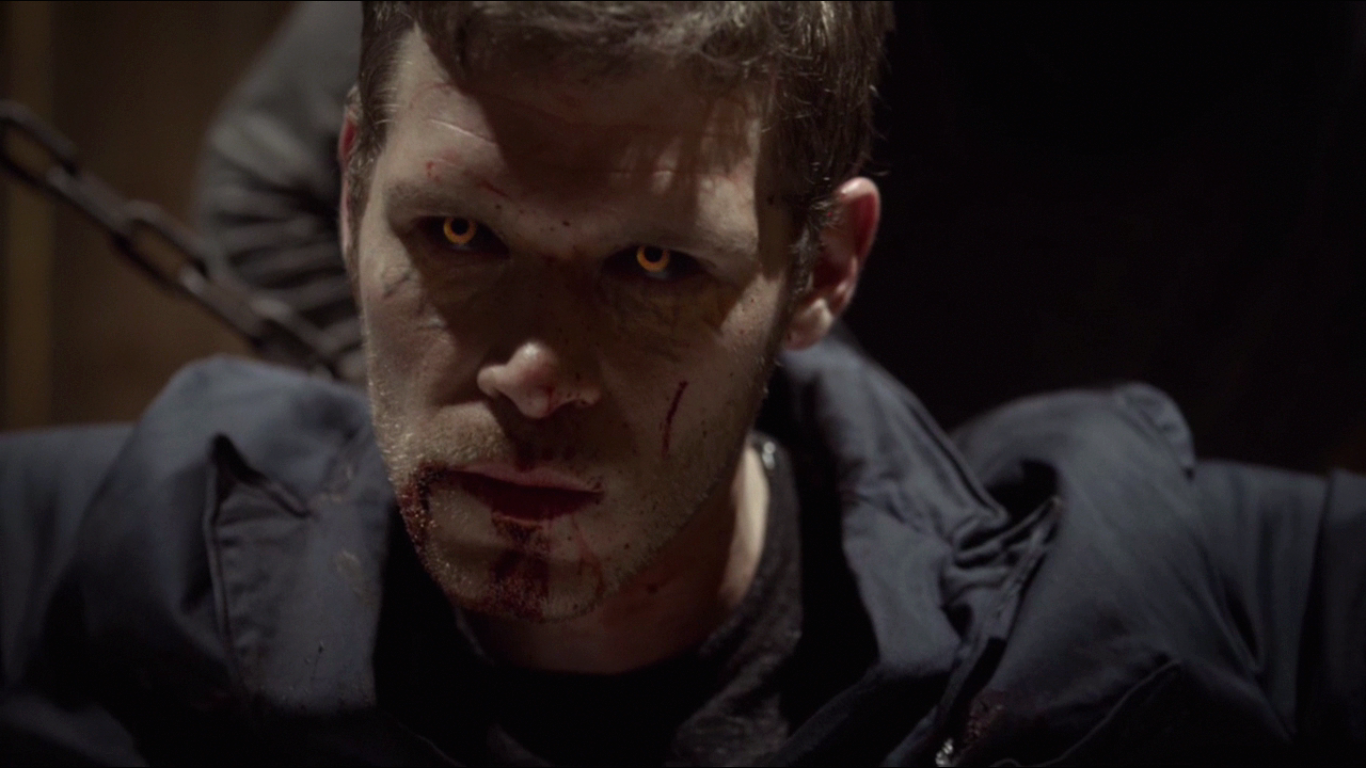 Niklaus Mikaelson, Wiki Legaciesbr