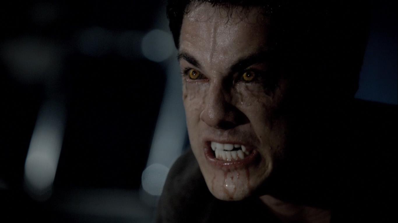 10 ideias de TVD  the vampire diares, vampire diaries, vampiro