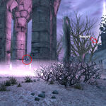 Arvak S Skull Legacy Of The Dragonborn Fandom I don't do anything fancy. skull legacy of the dragonborn fandom