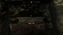 Roggvirs coffin.jpg