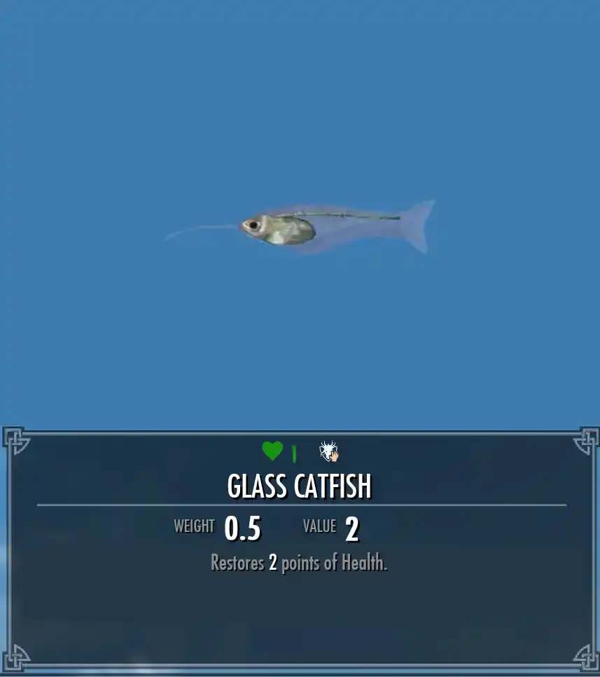 Glass catfish 2024