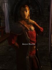 Auryen 2.jpg