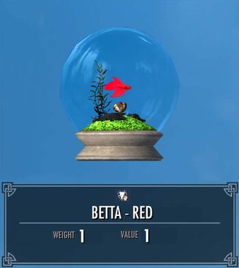Betta - Red