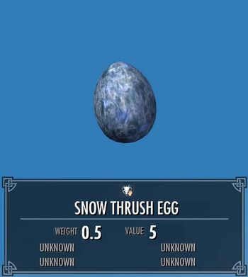 Snow Thrush Egg