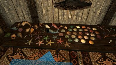AaaSeashells.jpg