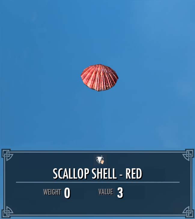 Shell of the Week: The Red-ribbed Scallop