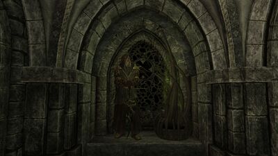 Dragonborn display.jpg