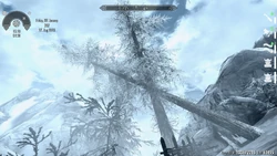skyrim bad vibrations snow thrush eggs Do lots of people own and use sex toys? | Smile Makers