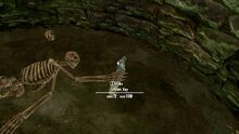 Totemic key location.jpg