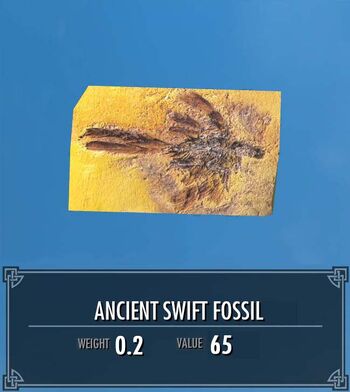 Ancient Swift Fossil