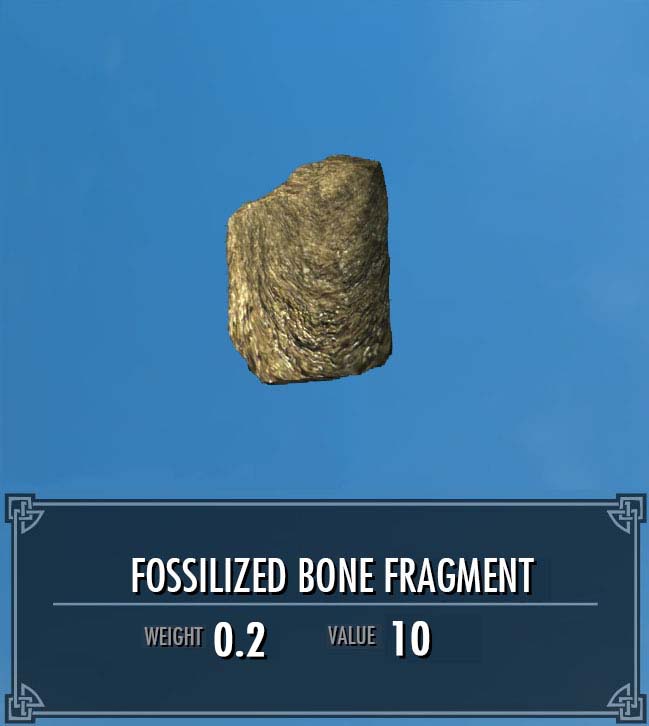 Bone Fragments