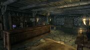 Fieldstation basement.jpg