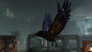 Nosgoth-Animals-Crows