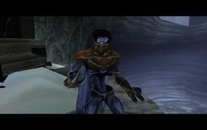 Cutscene: The Tenth Guardian