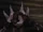 SR2-BlackDemon3.png