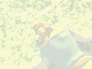 Cinematic: Nuremburg