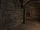BO2-Animals-Bat-UpWing.png