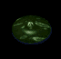 BO1-Sprite-char0152 000.png