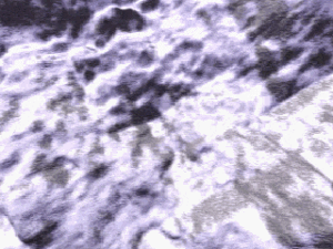 Cinematic: Bat Form (The Oracle's Cave)