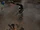 BO2-Club-SK1.png