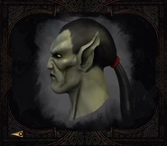 Turel's head in side profile (Defiance).