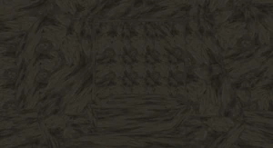 The warp gate in the January alpha