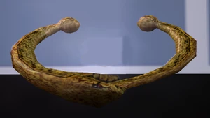 The Golden Ouroboros