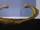 Golden Ouroboros