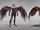 Nosgoth-Character-Sentinel-Variants-Plain.jpg