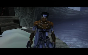 Cutscene: The Tenth Guardian