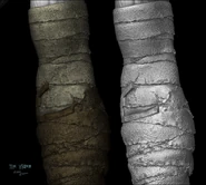 "patrick-johnson-arm-wraps-bpr-front" (Raziel)