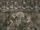 Defiance-Texture-Mansion-GardenWall-GardenCryptPuzzleMural.png