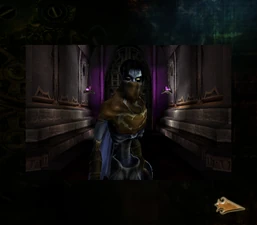 14-The Tenth Guardian