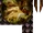 Grp00035.png