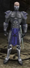 Sarafan Guard in-game