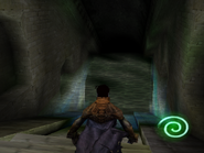 The flooded area in Raziel's territory which leads to the Fire Glyph Altar and Drowned abbey