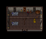 BO1-Map0003-Sect10-Nachtholm-NEHouse.png (58 KB) The interior of the northeastern house