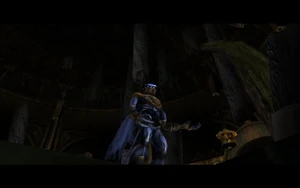 SR2-DC-RazielDefiesTheElder-021