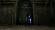 A door in Soul Reaver 2