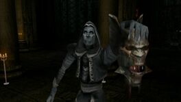 SR2-VoradorHead.jpg