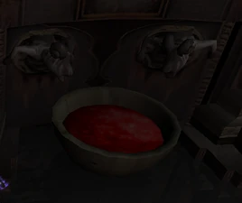 SR2-JanosChamber-BloodBasin