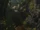 Nosgoth-Location-Provance-Shots-006-BeyondGates.jpg